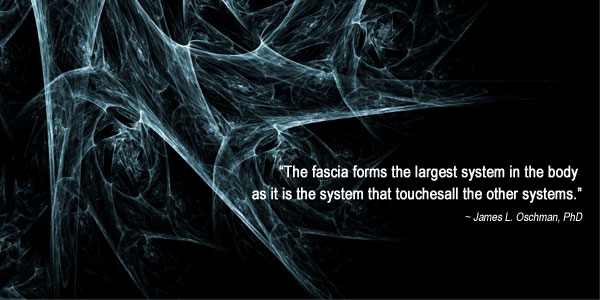 Fascia-Quote