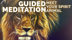 Find Your Spirit Animal (Guided Meditation)