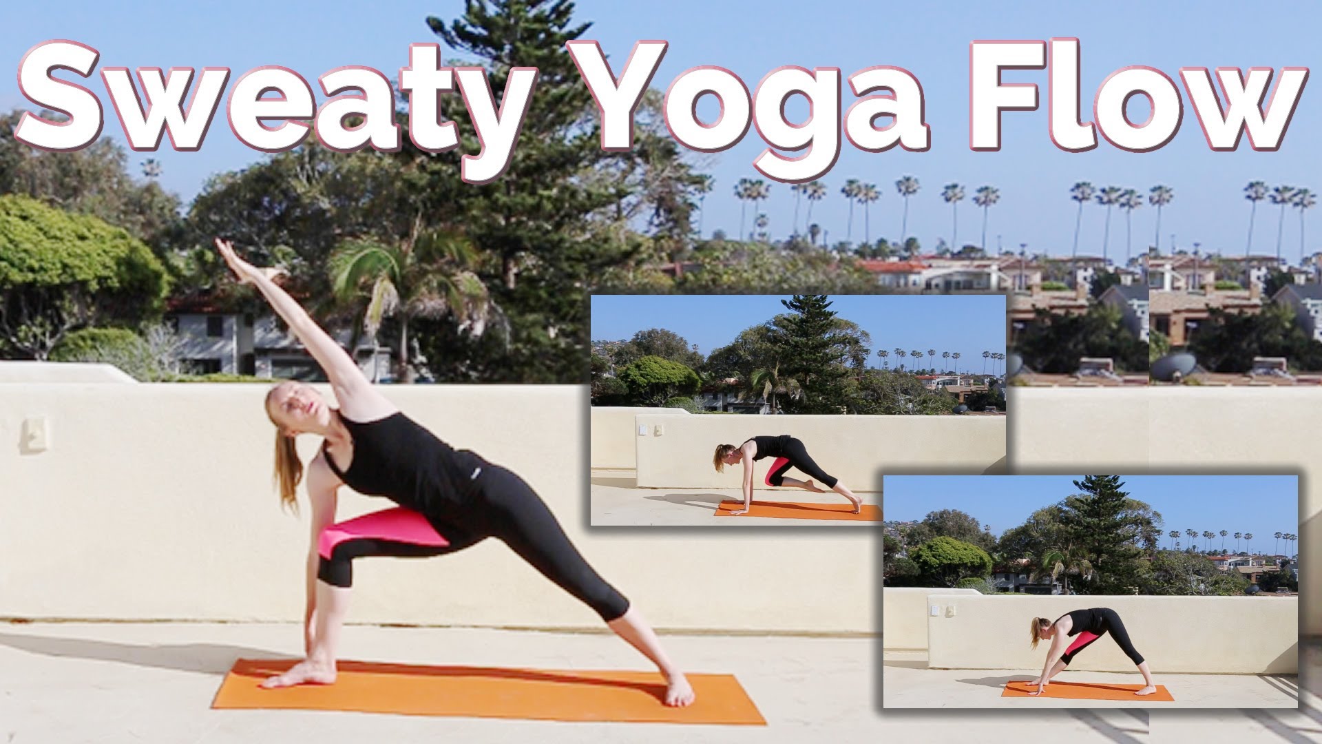 Sweaty Yoga Workout (45min) optional music! Brett Larkin Yoga