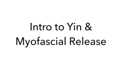 ABS Intro to Yin & MFR