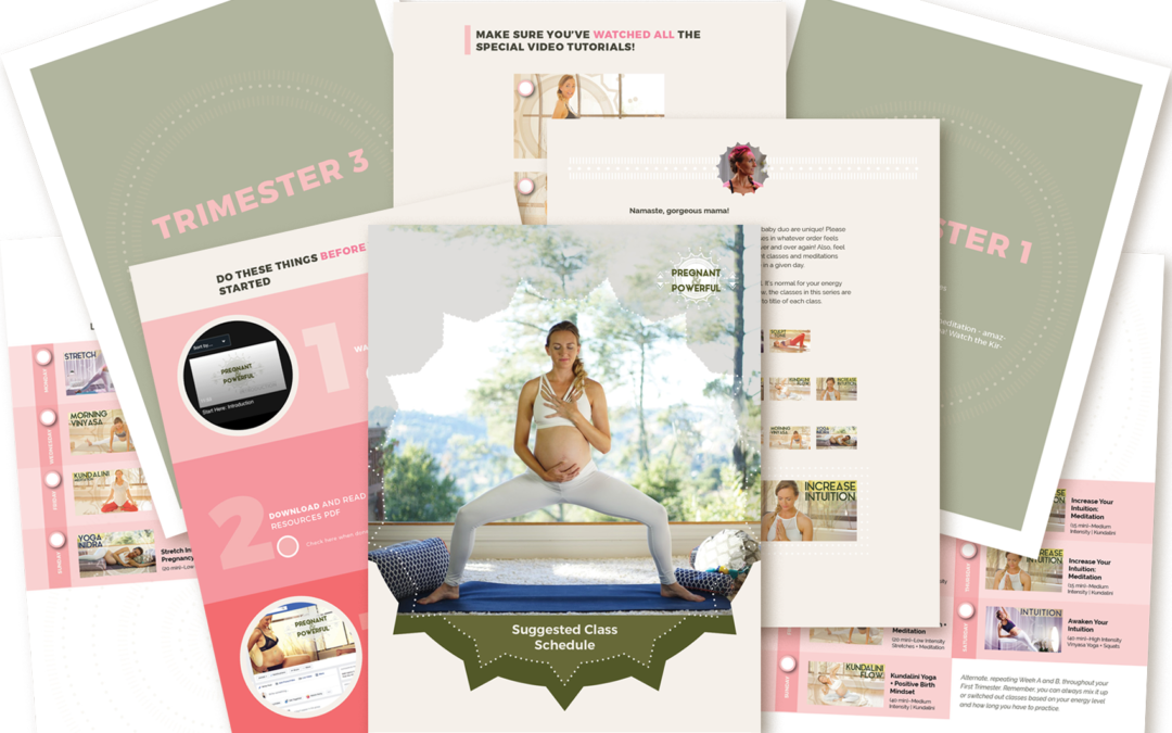 Pregnant & Powerful: Prenatal Yoga – Vinyasa, Kundalini, Meditation, Mindset