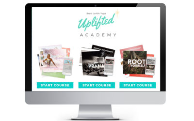 brett-larkin-uplifted-academy-mock-up
