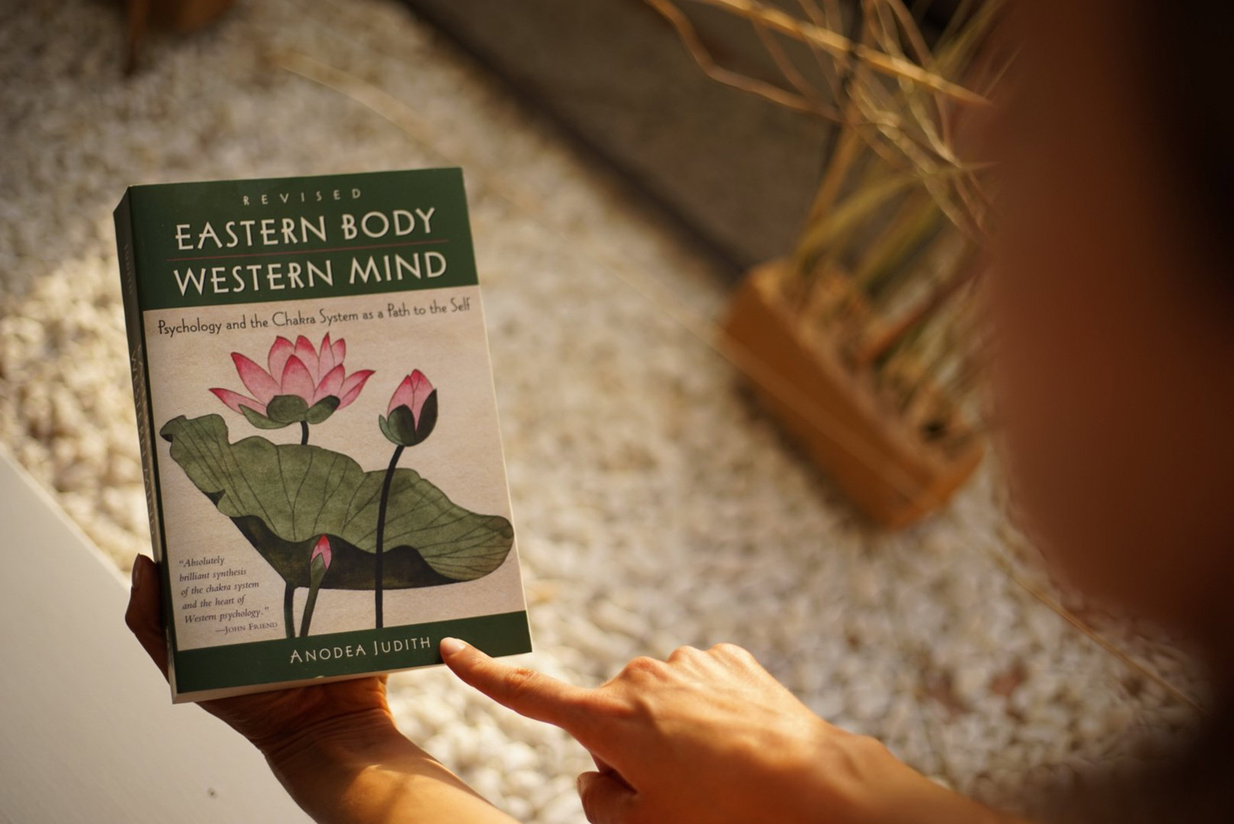 brett larkin reading material eastern body western mind in 300 hour yoga teacher training