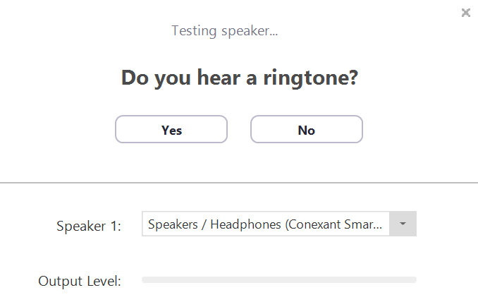test zoom speaker