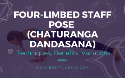 How To Do Four-Limbed Staff Pose