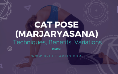 How To Do Cat Pose