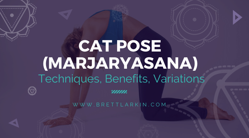 How To Do Cat Pose