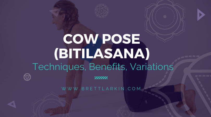 How To Do Cow Pose