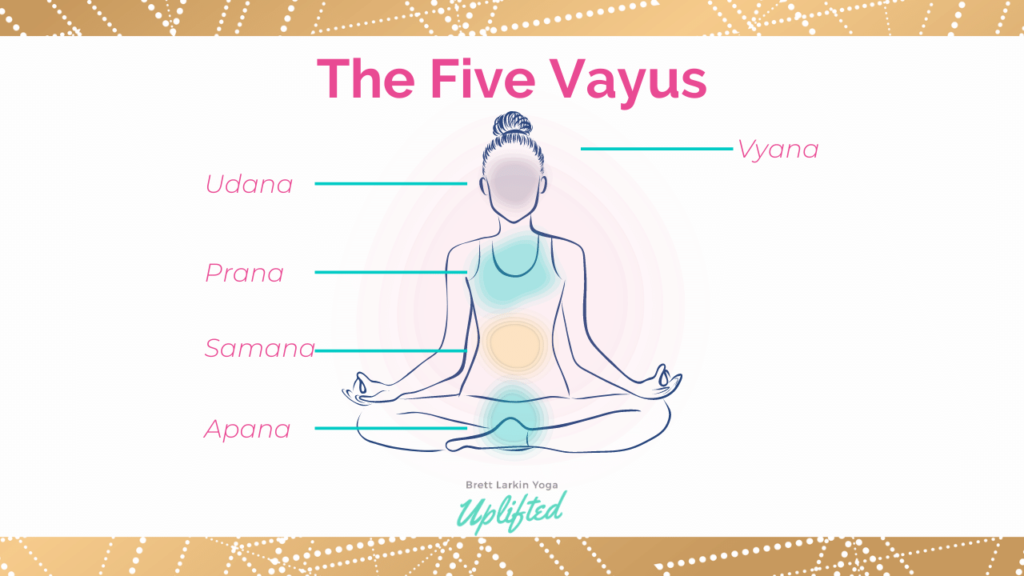 the five prana vayus