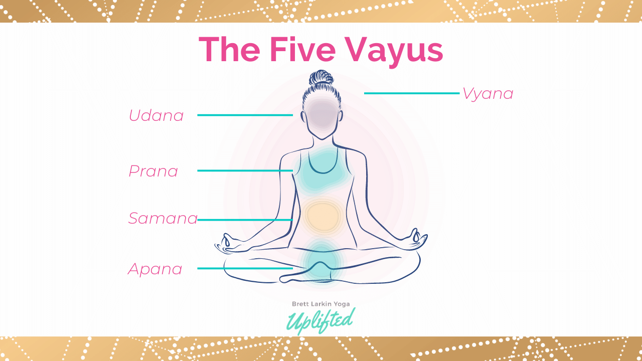 the five vayus