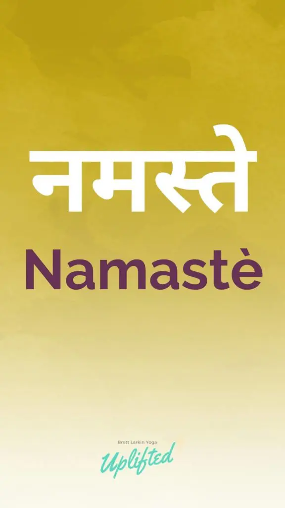 The Complete Glossary of Sanskrit Words Used in Yoga – Brett Larkin Yoga