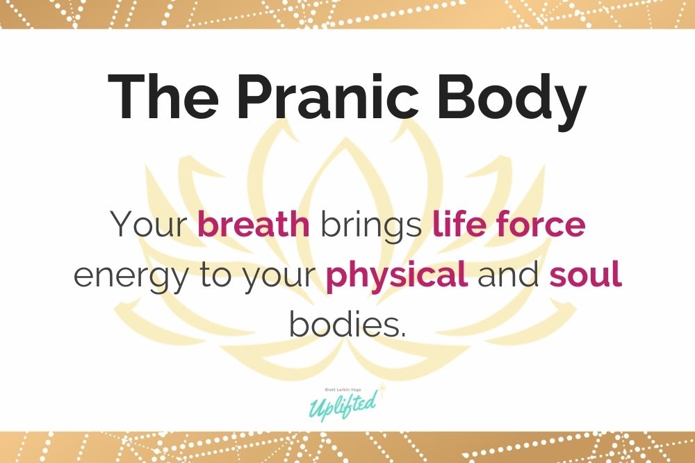 the pranic body