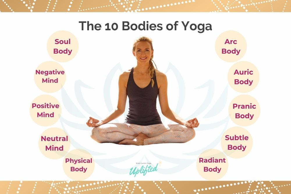 the 10 bodies of yoga brett larkin