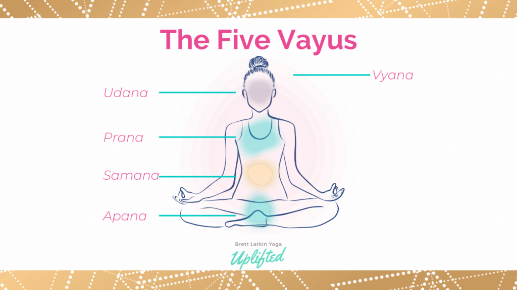 five prana vayus