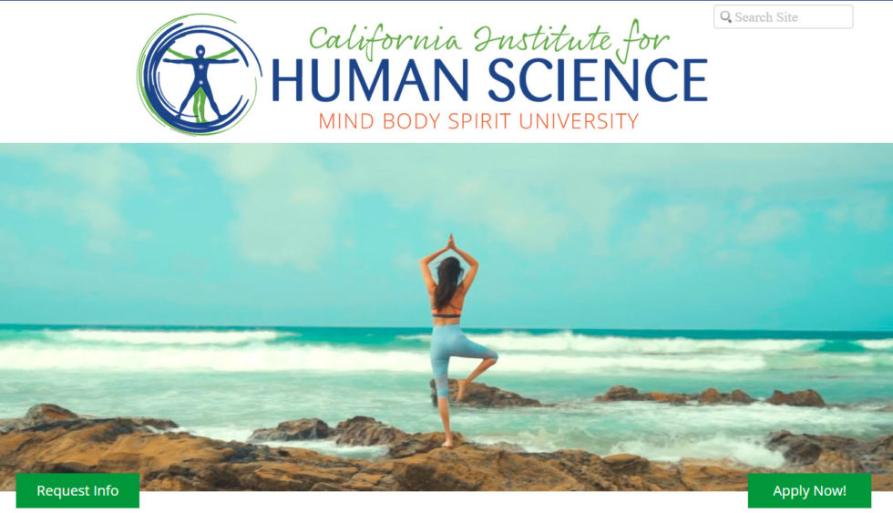 How To A Yoga Therapist After Your YTT Brett Larkin Yoga