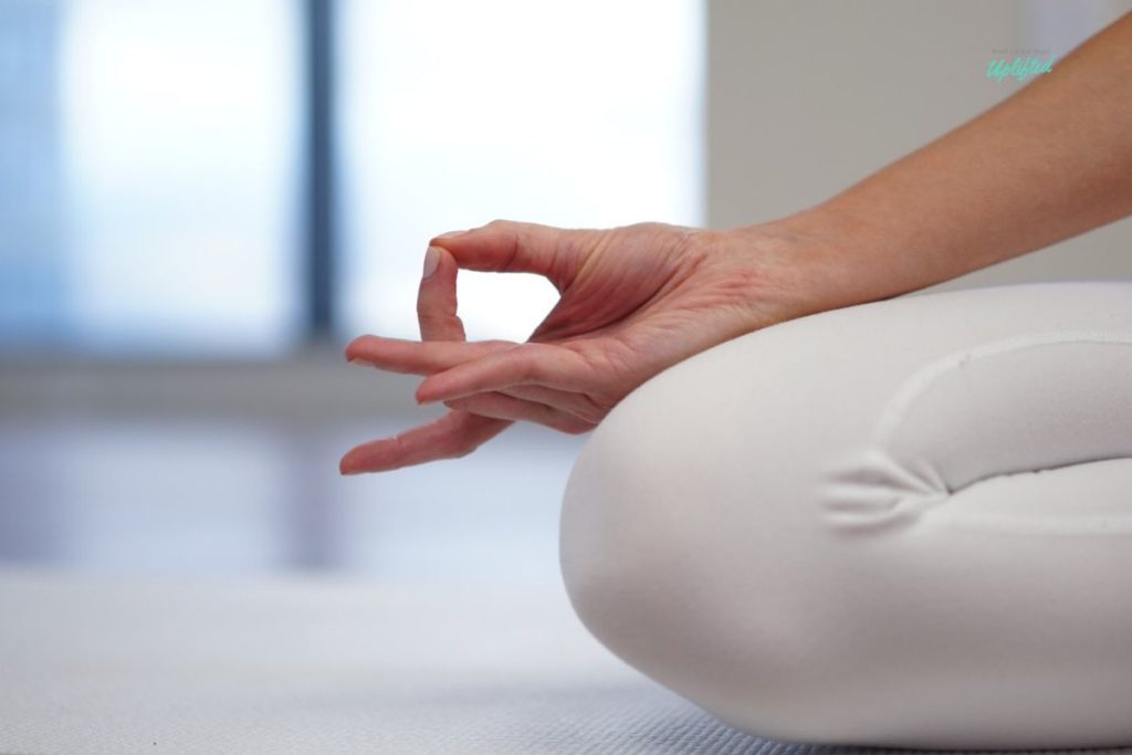 shuni mudra