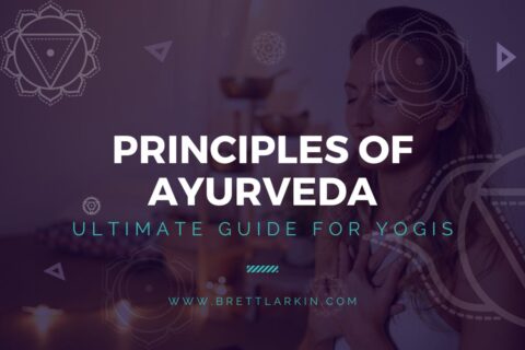 AYURVEDA MEANING PRINCIPLES BENEFITS visual data 7