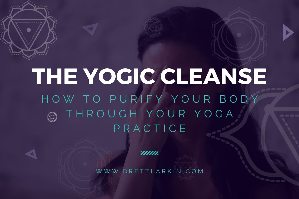 The Yogic Cleanse: How to Purify Your Body Through Your Yoga Practice –  Brett Larkin Yoga