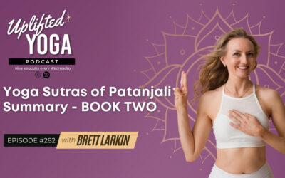 #282 – Yoga Sutras of Patanjali Summary – BOOK TWO Explained