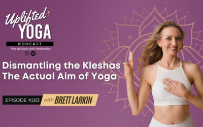 #283 – Dismantling the Kleshas: The Actual Aim of Yoga