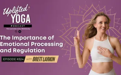 #324 – The Importance of Emotional Processing and Regulation: DENT Model Trauma