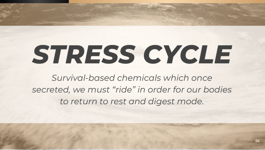 stress cycle