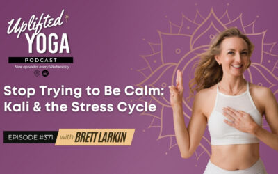 #371 – Stop Trying to Be Calm: Kali & the Stress Cycle