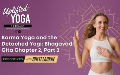 #374 – Karma Yoga & the Detached Yogi: Bhagavad Gita Chapter 2, Part 2