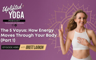#385 – The 5 Vayus: How Energy Moves Through Your Body (Part 1)