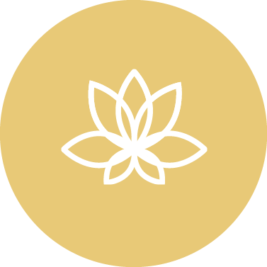 Uplifted Yoga professional certifications and credentials