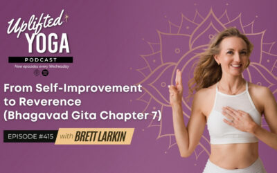 #415 – From Self-Improvement to Reverence (Bhagavad Gita Chapter 7)