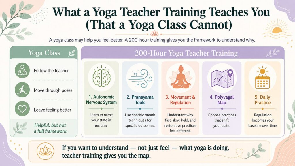 infographic comparing what a yoga class offers versus what a 200-hour yoga teacher training teaches about the nervous system, pranayama, movement regulation, the polyvagal map, and daily practice.