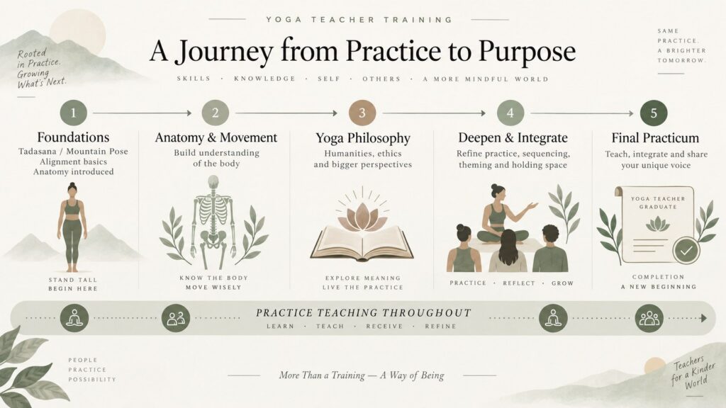 Yoga teacher training curriculum timeline showing anatomy early, philosophy mid-training, practice teaching throughout, and final practicum at graduation.